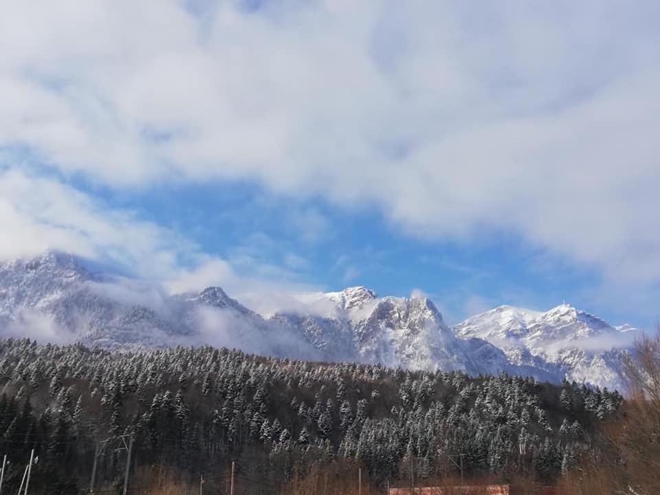 Villa Anne - Piatra Arsa Buşteni Εξωτερικό φωτογραφία