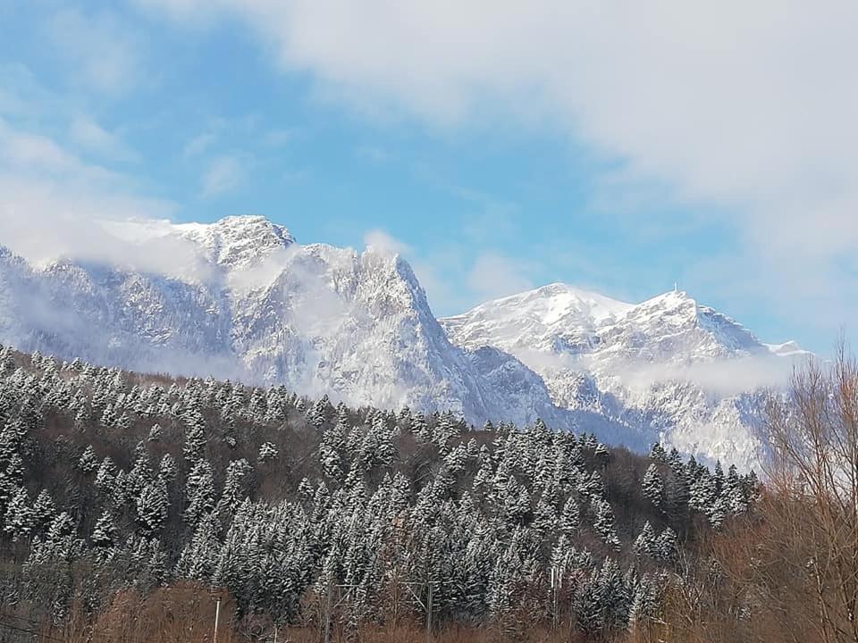 Villa Anne - Piatra Arsa Buşteni Εξωτερικό φωτογραφία