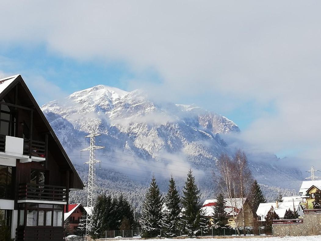 Villa Anne - Piatra Arsa Buşteni Εξωτερικό φωτογραφία